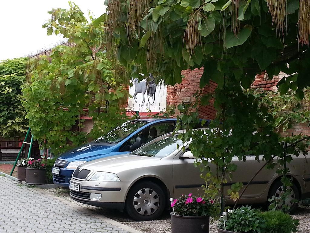 Penzion U Vlku Valtice Buitenkant foto